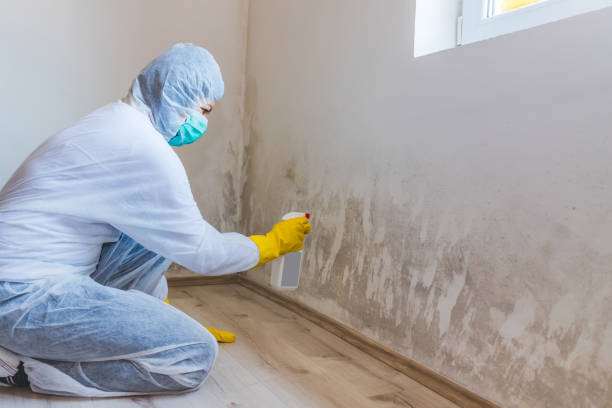 Crawl Space Mold Remediation treatment of floor joists in Chester Gap