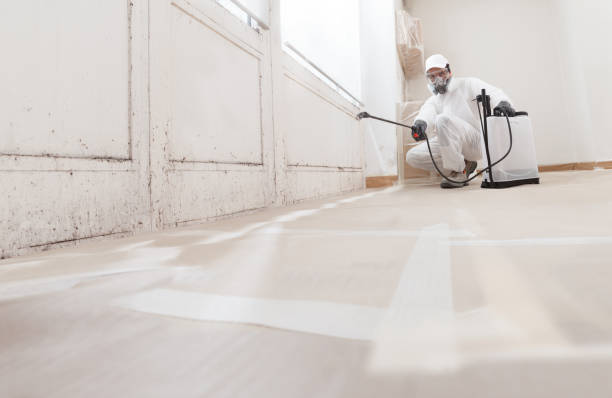 Black mold remediation team in Chester Gap